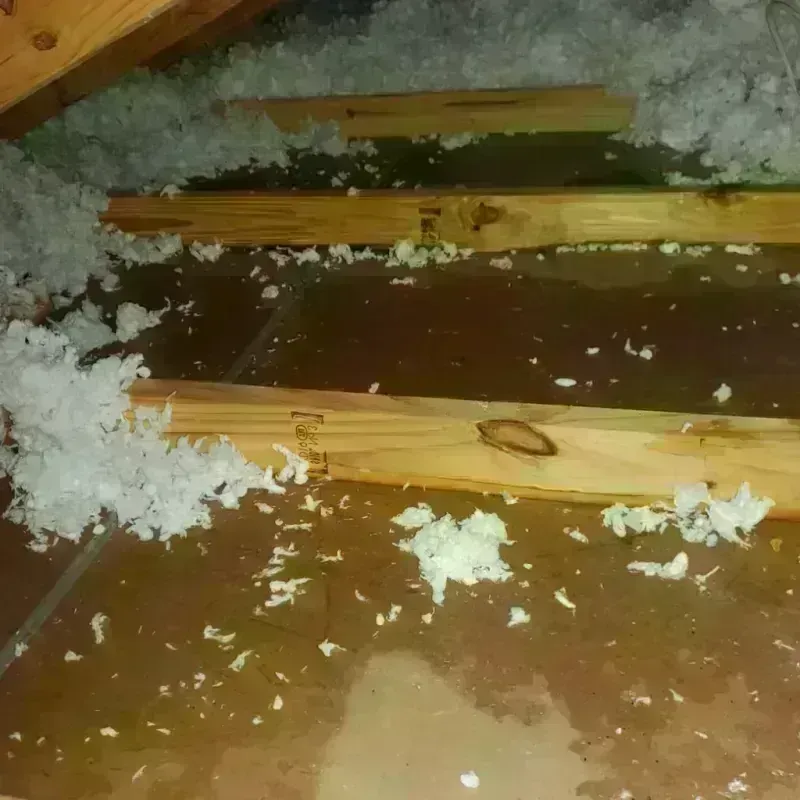 Attic Water Damage in Waimea, HI